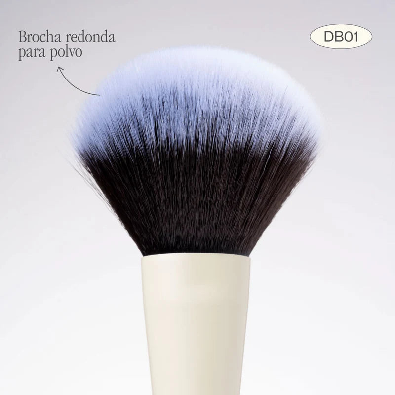 Brocha Dúo para Polvo y Rubor | Atenea