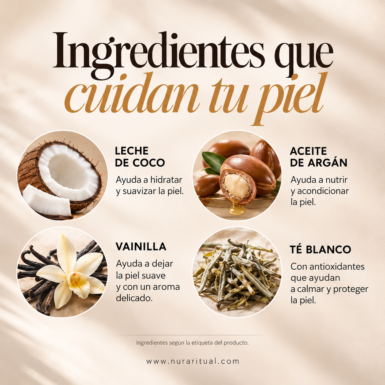 Coco Cloud, Manteca de Afeitar de Lujo con Leche de Coco | TRULY
