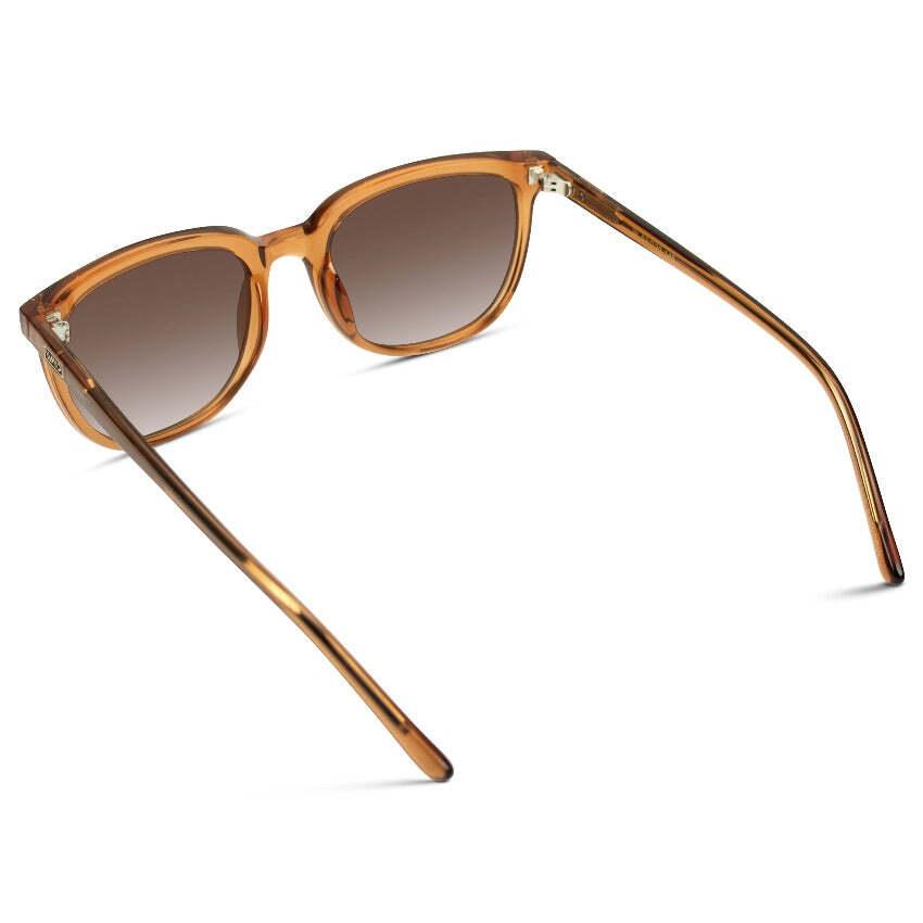 Lentes de Sol Nick 1023-BRWBRW | WearMe Pro