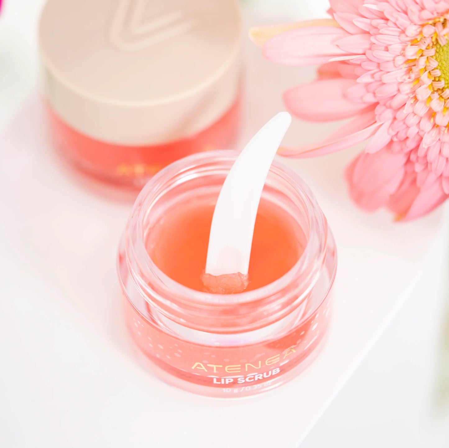 EXFOLIANTE PARA LABIOS – LIP SCRUB | ATENEA