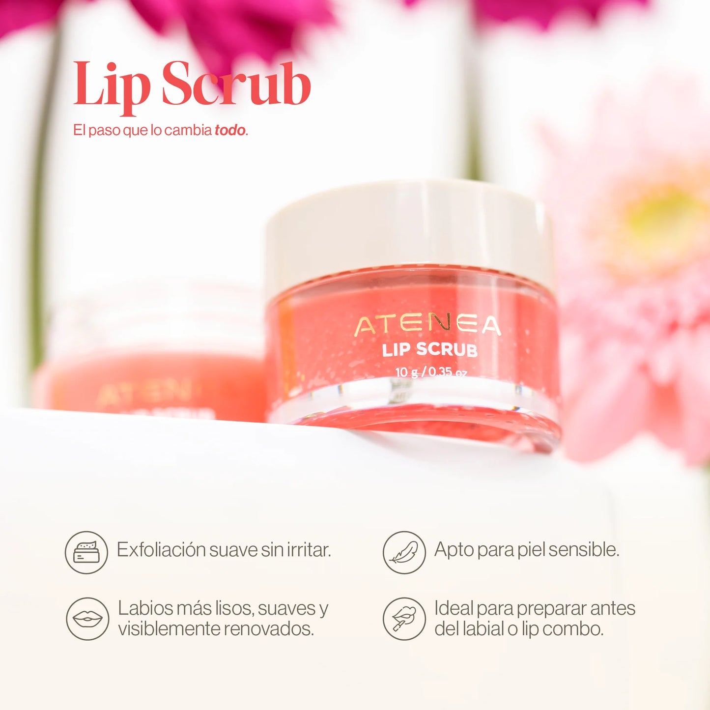 EXFOLIANTE PARA LABIOS – LIP SCRUB | ATENEA