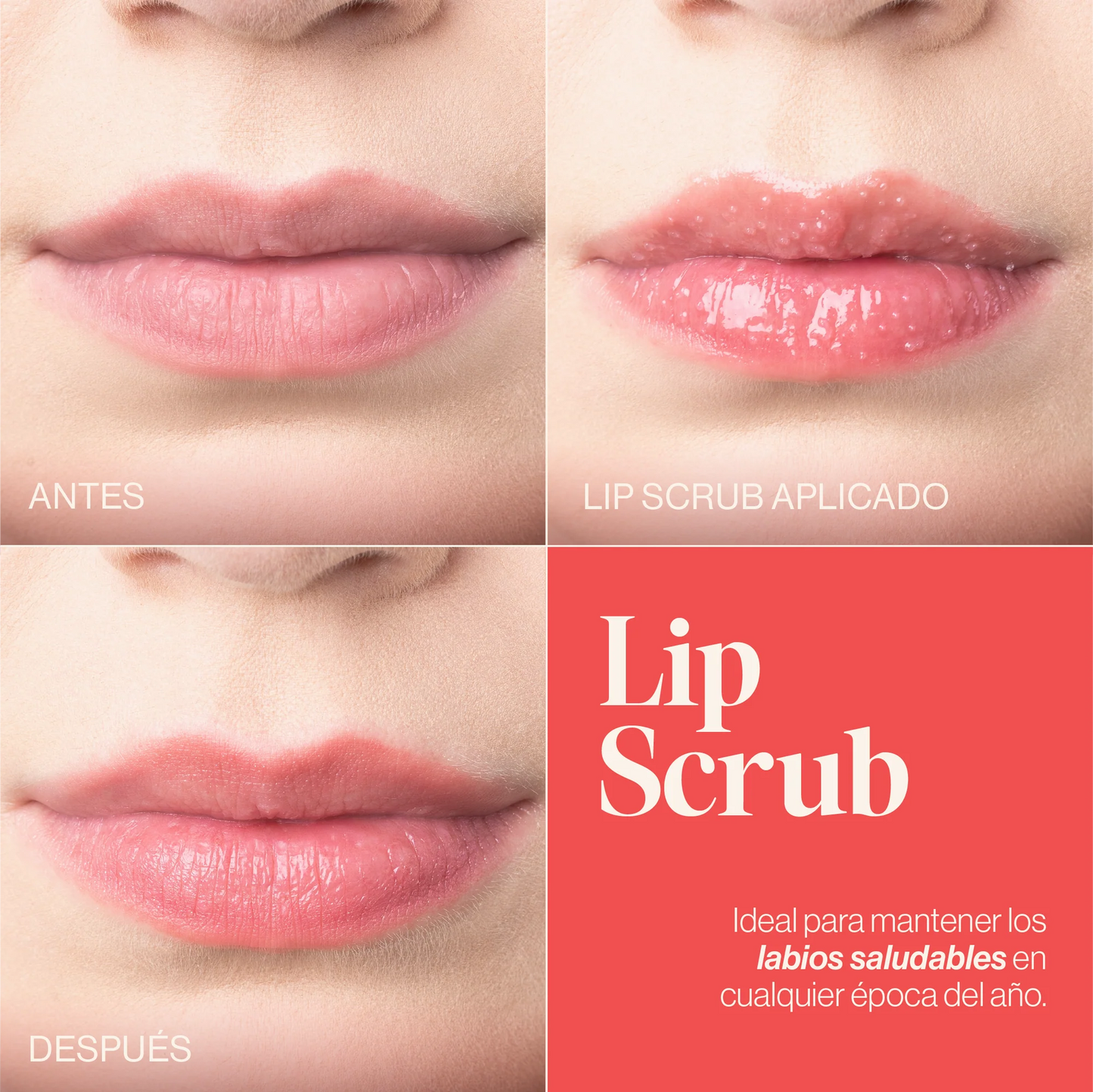 EXFOLIANTE PARA LABIOS – LIP SCRUB | ATENEA