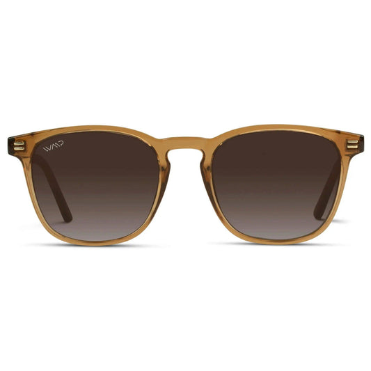 Lentes de Sol Nick 1023-BRWBRW | WearMe Pro