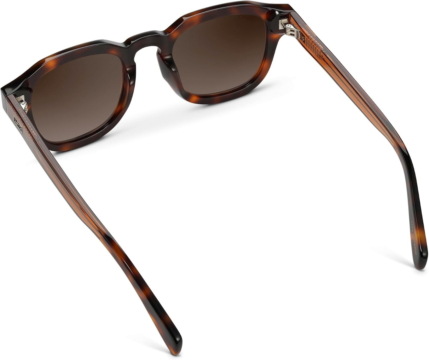 Lentes de Sol Nelson 1103 TRTBRW | WearMe Pro